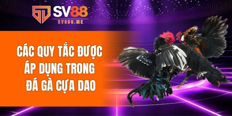 Các quy tắc được áp dụng trong đá gà cựa dao