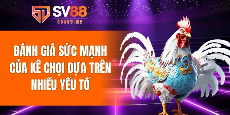 Đánh giá sức mạnh của kê chọi dựa trên nhiều yếu tố