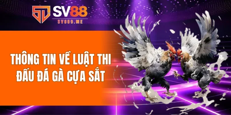 Thông tin về luật thi đấu đá gà cựa sắt