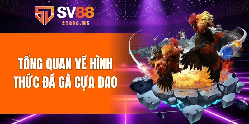 Tổng quan về hình thức đá gà cựa dao